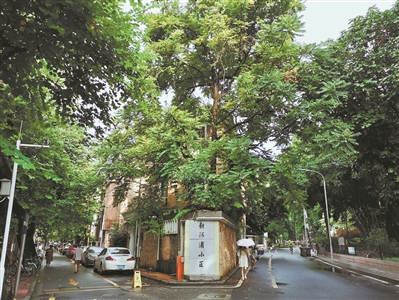 《新河浦历史文化街区保护利用规划》公布 东山洋房有了“护身符”