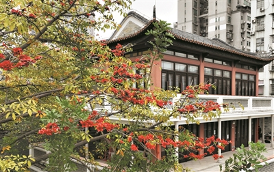 英雄花开
